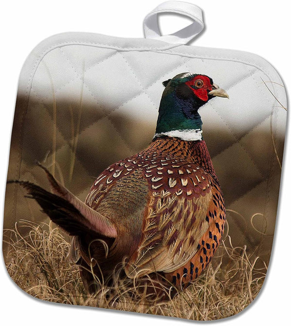 3D Rose Ring Neck Pheasant Pot Holder, 8 x 8