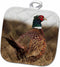 3D Rose Ring Neck Pheasant Pot Holder, 8 x 8