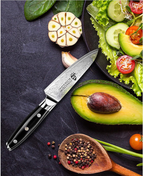 TUO 3.5 Inch Paring Knife - Ultra Sharp Peeling Knife - High Carbon Stainless Steel with G10 Handle Gift Box