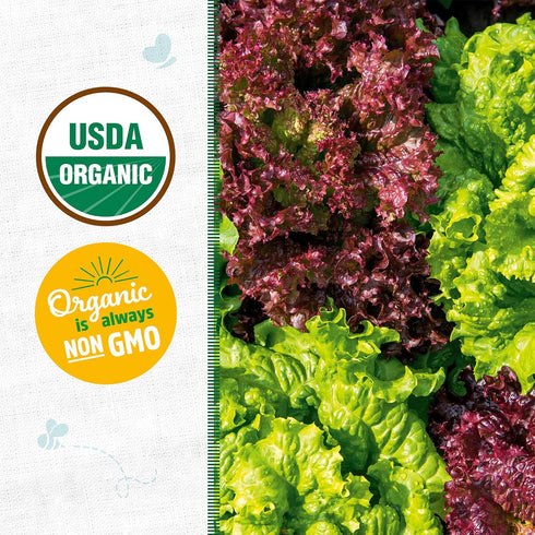 100% Packet 420mg Back to The Roots Organic Seed - Lettuce 'Gourmet Blend'