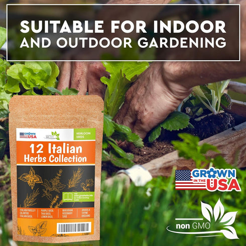 12 Pack Italian Herb Seeds - Heirloom and Non GMO, Grown in USA - Indoor or Outdoor Garden - Four Basil Varieties