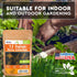 12 Pack Italian Herb Seeds - Heirloom and Non GMO, Grown in USA - Indoor or Outdoor Garden - Four Basil Varieties