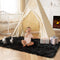 Ashler Faux Fur Rug, Fluffy Shaggy Area Rug, Ultra Soft 3 x 5 Feet Rectangle for Nursery, Kids Room, Living Room