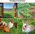 Miuwauer 15.7 590.5 100 Chicken Wire in x in Poultry Wire Netting Hexagonal Galvanized Mesh Garden Fence Barrier