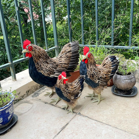 LWINGFLYER Artificial Feather Hen Chicken Statue Ornaments DIY Craft for Home Wedding Easter Decoration Farm Garden