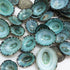 PEPPERLONELY 50PC Green Limpet Shells, Craft Sea Shells, Sizes 1/2 Inch to 1 Inch