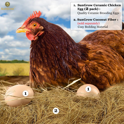 2 Pack SunGrow Fake Wooden Eggs to Train Birds from Laying in The Nesting Boxes & to Stop from Eating Own Eggs, Brown