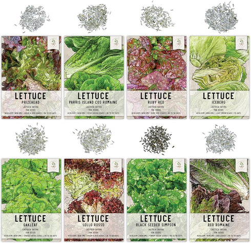 Pack 8 Packets Seed Needs Lettuce Seeds Variety for Planting a Collection of Individual Varieties - Includes Romaine