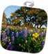 3D Rose Flowers and Live Oak in Texas Hill Country Pot Holder, 8 x 8