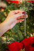 Scentsicles O Christmas Tree Scented Ornaments with Hooks, 3 Bottles (18 Sticks Total)