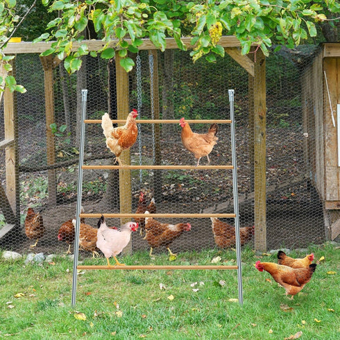 Accessories(55'' 41'' Wenqik Large Chicken Perch Chicken Roosting Bars for Coop Easy Installation Ladder for Backyard