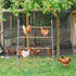 Accessories(55'' 41'' Wenqik Large Chicken Perch Chicken Roosting Bars for Coop Easy Installation Ladder for Backyard