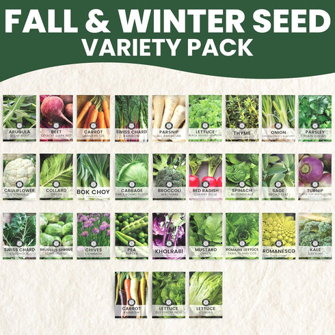 Pack 30 Packs 2026 Fall & Winter Seed Variety | Invidiual | Season | Non-GMO | Beets, Arugula, Carrots, Lettuce & More!