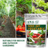 14,500+ 33 Vegetable & Fruit Seeds - Heirloom Varieties for a Bountiful Garden - Grow Tomatoes, Lettuce, Beans, More