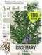 Seed Needs Rosemary Seeds for Planting - Non-GMO Heirloom & Untreated Perennial