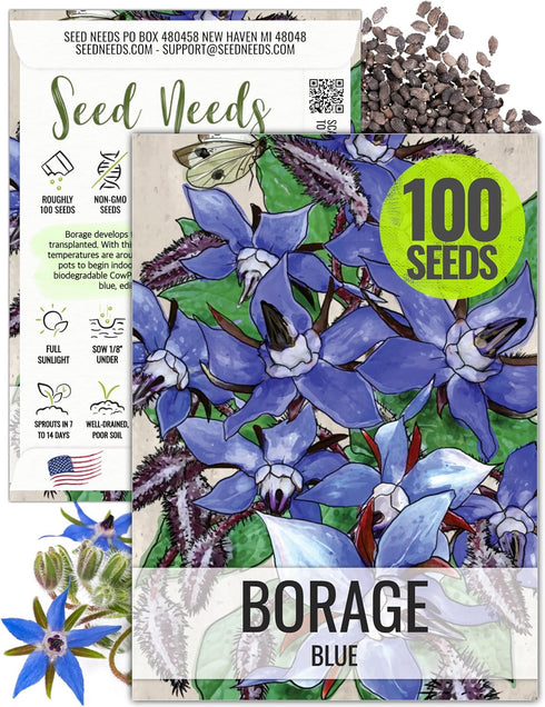 Seed Needs Borage Seeds for Planting Blue Star Flowers - Heirloom Non-GMO