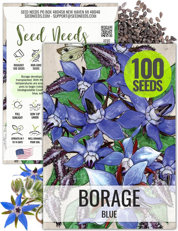 Seed Needs Borage Seeds for Planting Blue Star Flowers - Heirloom Non-GMO