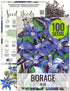 Seed Needs Borage Seeds for Planting Blue Star Flowers - Heirloom Non-GMO