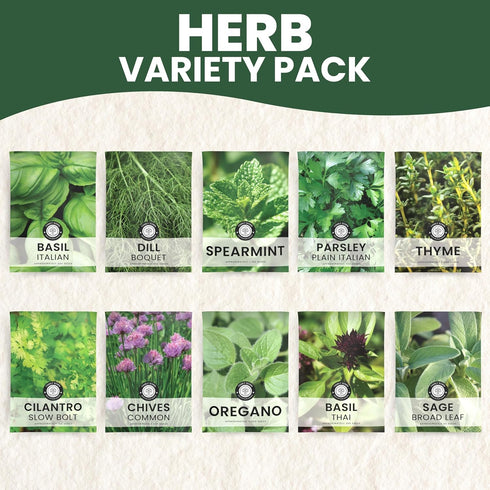 10 Packs 2026 Herb Seeds | Individual | Season | Non-GMO | Mint, Parsley, Basil, Thyme & More! | for Planting Indoor
