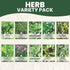 10 Packs 2026 Herb Seeds | Individual | Season | Non-GMO | Mint, Parsley, Basil, Thyme & More! | for Planting Indoor