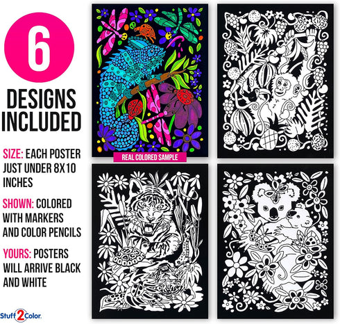 Koala, Gecko, Elephant, Monkey, Parrot, Tiger - 6 Fuzzy Velvet Posters to Color