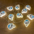 NFL LED Helmet String Lights with Adaptor Plug Included, Battery Operated Football Fairy Lights for Indoor Home Dcor