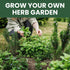 10 Packs 2026 Herb Seeds | Individual | Season | Non-GMO | Mint, Parsley, Basil, Thyme & More! | for Planting Indoor