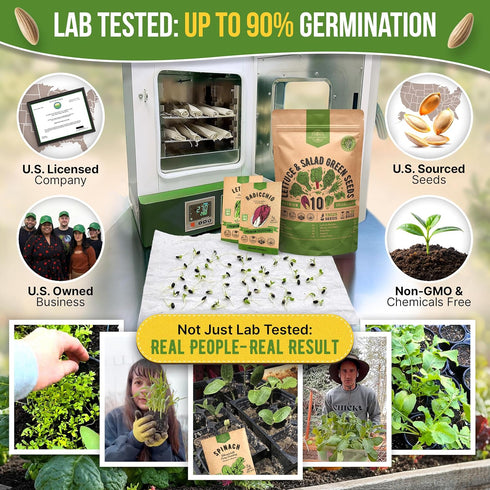 10 Pack 13000+ Organo Republic Lettuce & Salad Greens Seeds Variety Non-GMO Heirloom Lettuce Seeds for Planting Indoors