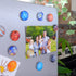 Glass Magnets, Planets