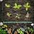 6 Pack 35 6 4 Gerrii Gallon Fabric Raised Garden Beds Rectangle Garden Planting Bed with Divided Grids Drainage Holes