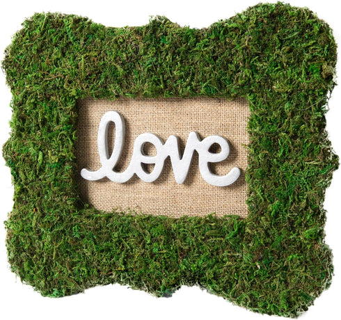SuperMoss (22420) InstantGreen Moss Mat, Fresh Green, 18 x 16"