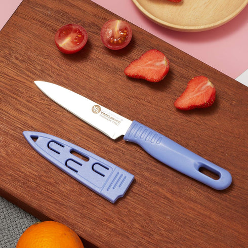 4 Pieces Kitchen Knife Set, Stainless Steel Blade Paring Knife for Fruit and Vegetable with Matching Covers, Colorful