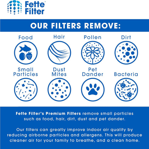 Fette Filter Pack of 4 - Activated Carbon Filter for HoMedics TotalClean PetPlus, Compare to AT-PET01, AT-PET02