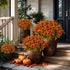 Artificial Fall Flowers Outdoor Fake Mums - 12 Bundles UV Resistant No Fade Faux Plastic Greenery for Garden Porch