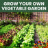 35 Packets Pack 2026 Packed Vegetable Seed | Survival Variety | Season | Individually Vegetables, Herbs and Fruits |