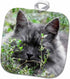 3D Rose Cute Grey Domestic Cat Pot Holder, 8 x 8