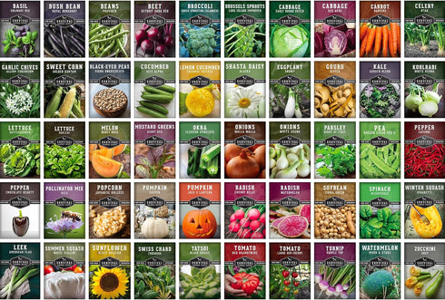 50 Packs Homesteader Seed Vault - of Non-GMO Heirloom Vegetable, Fruit, Herb Seeds for Planting a Victory Garden - Grow