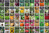 50 Packs Homesteader Seed Vault - of Non-GMO Heirloom Vegetable, Fruit, Herb Seeds for Planting a Victory Garden - Grow