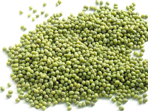 1 Todds Seeds - Mung Bean Sprouting Seed - Mung Bean Seeds - Chinese Green Bean - Pound Bulk Seeds