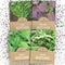 Organic Mustard Green Seeds Variety Pack - 4 Individual Packs - 2026