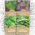 Organic Mustard Green Seeds Variety Pack - 4 Individual Packs - 2026