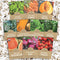 Organic Heirloom Garden Seeds Variety Pack - 10 Individual Packs - 2026