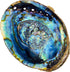 Hand Selected Abalone Shell - 6 Inches or Larger, Perfect for Incense and Trinkets