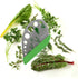 Norpro Stainless Steel Herbs Stripper and Chopper with Cover, 1 Piece, 4.75" x 2.88"