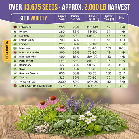 30 Pack 13600+ Organo Republic Medicinal Tea Herb & Flower Seeds Variety - Non-GMO Heirloom Flower Seeds for Outdoor