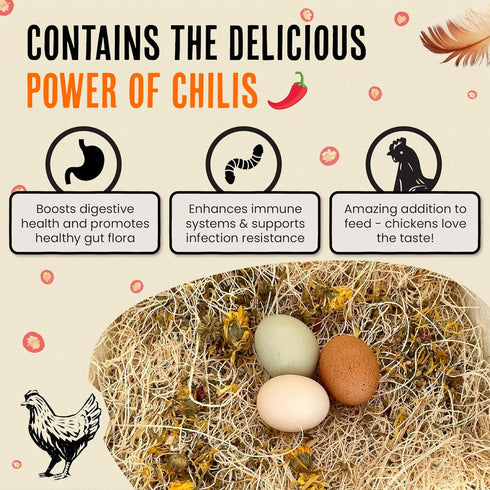 1LB Roosty's Naturals Chicken Nesting Herbs - Chili Mix | Premium Nesting Herbs for Coop | Made in The USA | Chicken