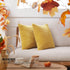 Deconovo Modern Corduroy Throw Pillow Covers Set of 2 – Elegant Soft Cushion Covers for Living Room, Sofa