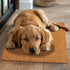 Woven Coir Doormat - 2 Pack Non-Slip Heavy Duty Welcome Mat, Easy Clean Durable Entryway Front Door High Traffic