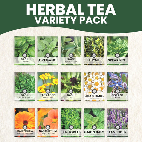 15 Packs 2026 Herbal Tea Garden Seeds | Individual | Season | Non-GMO | Chamomile, Mint, Lavender, Holy Basil & More! |
