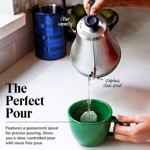 Gooseneck Electric Kettle with Temperature Control & Presets, 1L Stainless Steel Tea & Pour Over Coffee Kettle
